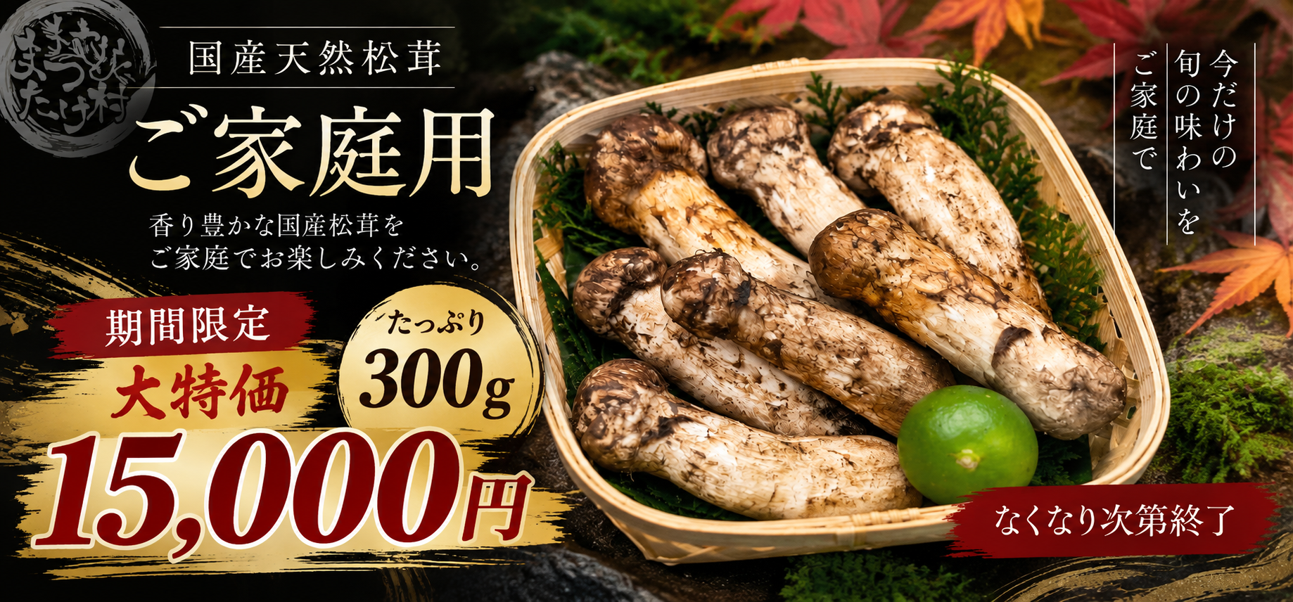 取扱量日本一 国内産松茸専門問屋